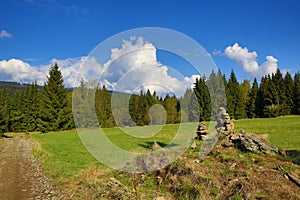 Trees, Spring landscape, PrÃ¡Å¡ily, Å umava, Czech Republic